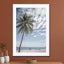 Palm treeat the beach in Indonesia - Drawdeck