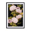 Peonies 2 Wall Art - Drawdeck