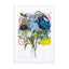 Ranunculus 07 Wall Art - Drawdeck