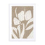 Muted Petals no 3 Wall Art - Drawdeck