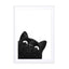 Funny black cat Wall Art - Drawdeck