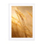 Grass in morning sunlight autumn photo Melissa Peltenburg Wall Art - Drawdeck