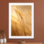 Grass in morning sunlight autumn photo Melissa Peltenburg - Drawdeck