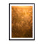 Atmospheric image of wild plants in backlight Melissa Peltenburg Wall Art - Drawdeck