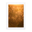 Atmospheric image of wild plants in backlight Melissa Peltenburg Wall Art - Drawdeck