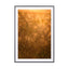 Atmospheric image of wild plants in backlight Melissa Peltenburg - Drawdeck