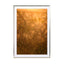 Atmospheric image of wild plants in backlight Melissa Peltenburg - Drawdeck