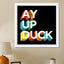 ay up duck