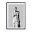 Venus De Milo Wall Art - Drawdeck