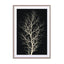 The Tree White Wall Art - Drawdeck