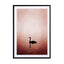 The Swan Wall Art - Drawdeck