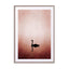 The Swan Wall Art - Drawdeck