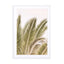 Oasis Palm Wall Art - Drawdeck