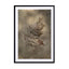 Earthy Ferns 3 Wall Art - Drawdeck