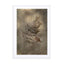 Earthy Ferns 3 Wall Art - Drawdeck