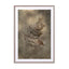 Earthy Ferns 3 Wall Art - Drawdeck