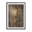 Earthy Ferns 4 Wall Art - Drawdeck