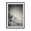 Mots1 Wall Art - Drawdeck