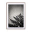 Mots3 Wall Art - Drawdeck