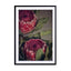 Red Protea1 Wall Art - Drawdeck