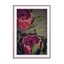 Red Protea1 Wall Art - Drawdeck