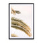 Oasis Palm 02 OA 02 Wall Art - Drawdeck