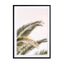 Oasis Palm 03 OA 03 Wall Art - Drawdeck
