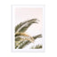 Oasis Palm 03 OA 03 Wall Art - Drawdeck