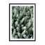 Green Cactus Garden Wall Art - Drawdeck