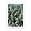 Green Cactus Garden Wall Art - Drawdeck