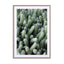 Green Cactus Garden Wall Art - Drawdeck