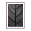 Black Leaf - Fiddle Leaf Fig Tree Wall Art - Drawdeck