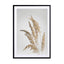 Golden Pampas Grass Wall Art - Drawdeck