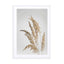 Golden Pampas Grass Wall Art - Drawdeck