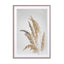 Golden Pampas Grass Wall Art - Drawdeck
