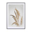 Golden Pampas Grass - Drawdeck