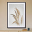 Golden Pampas Grass - Drawdeck