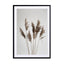 Natural Pampas Reed Wall Art - Drawdeck