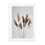Natural Pampas Reed Wall Art - Drawdeck