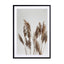 Pampas Reed In The Wind Wall Art - Drawdeck