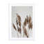 Pampas Reed In The Wind Wall Art - Drawdeck