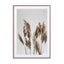 Pampas Reed In The Wind Wall Art - Drawdeck