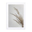 Soft Natural Pampas Grass Wall Art - Drawdeck