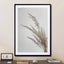 Soft Natural Pampas Grass - Drawdeck