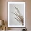 Soft Natural Pampas Grass - Drawdeck