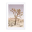Joshua Tree Wall Art - Drawdeck