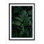 Lush Forest Greens Wall Art - Drawdeck