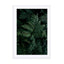 Lush Forest Greens Wall Art - Drawdeck