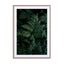 Lush Forest Greens Wall Art - Drawdeck
