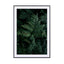 Lush Forest Greens - Drawdeck